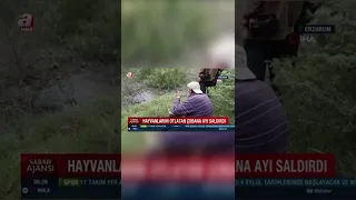Erzurum'da ayı saldırısı: 1 ölü #shorts