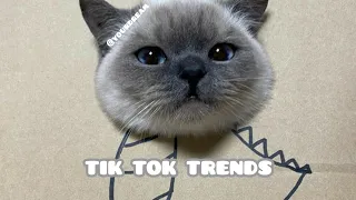 Танцуй если знаешь этот тренд||Тренды2022||trends tik tok || tiktok2022 ||Танцуй тренд