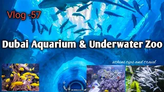 Dubai Aquarium and underwater zoo/Dubai mall/part -1/ malayalam /travel vlog