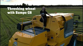Threshing wheat with Sampo C6