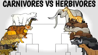 CARNIVORES VS HERBIVORES TOURNAMENT - ANIMATION