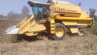 New Holland Tf 44 Αλώνισμα Ηλιόσπορου Στον Κάμπο Καστανεών Έβρου 3.9.2020