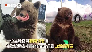 泰迪熊被俄罗斯飞行员救出并住在卡卢加的机场 - Тайвань о Мансуре