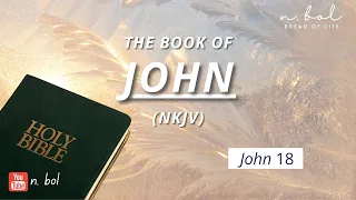 John 18 - NKJV Audio Bible with Text (BREAD OF LIFE)