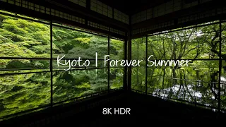 [8K HDR] Kyoto | Summer Forever | DJI  RS 3 PRO | Nikon Z9