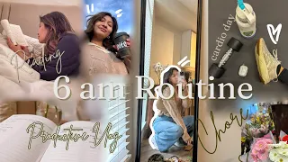 6 am Routine Productive Vlog, Working out, student life from home, shopping, and doing chores