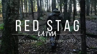 Bow Hunting Red Stags In Latvia [October 2023]