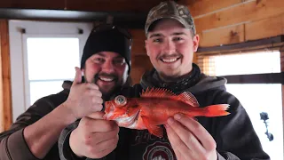 Pêche blanche sur le Fjord du Saguenay (catch and cook)