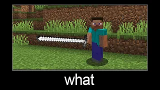 Minecraft wait what meme part 101 (long sword)