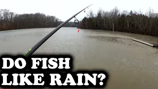 Do Fish Like Rain? Bluegill Fishing with Nightcrawlers on a Rainy Day