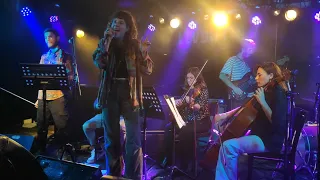 Chill Pill Orchestra & Noa Mei - Paper Tiger (Beck Tribute Levontin 7 12/10/2022)