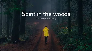 Spirit in the woods | Cinematic Video | 4k Ultra HD