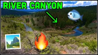 TROUT FISHING Remote OREGON River!! (Catch & Cook)