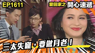 愛．回家之開心速遞 第1611集 | 三太失寵，要做月老！