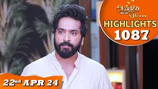 Anbe Vaa Serial | EP 1087 Highlights |22nd April 24 | Virat | Shree Gopika | Saregama TV Shows Tamil