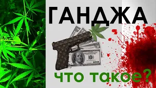 ГАНДЖА - что такое? Стоит знать!