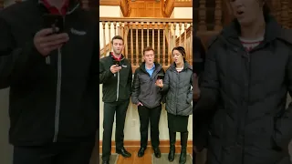 Who is He in Yonder Stall? | Acapella Trio | Christmas Music