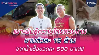 อายุน้อยร้อยล้าน EP264 (The Special) |  ชาลีฉายฟาร์มควายไทย