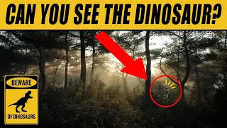 Find the Hidden Dinosaur | Hidden Animals Optical Illusions 🦖🦕😎
