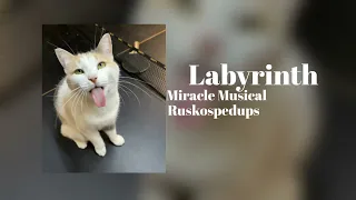 Labyrinth - Miracle Musical (sped up) 1 Hour Loop