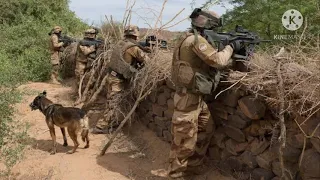 Two French soldiers killed in Mali