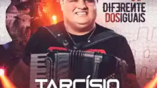 Se quiser voltar - Tarcísio do acordeon - novo cd diferente dos iguais