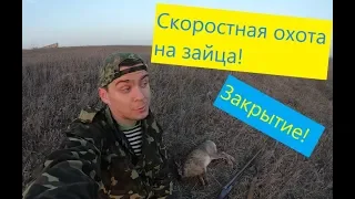 ОХОТА НА ЗАЙЦА! Закрытие (26.01.2020) Ушастый меня ждал))