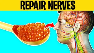 8 Superfoods That Can Miraculously Heal Nerve Damage
