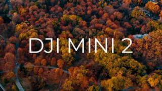 Обзор DJI MINI 2 (4K) - Сравнение с MINI 1, Лучший из всех DJI?