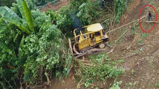 The CAT D6R XL Opening a Forest into a Plantation, Dozer Working in The Mountain