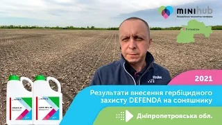 Результати внесення гербіцидного захисту DEFENDA на соняшнику | Mini Hub у Дніпропетровській області