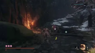 Sekiro Shadows DIE Twice