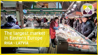 The largest market in Eastern Europe - Riga Central Market