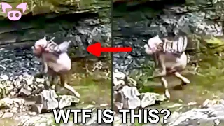 Creepy Stuff Caught on Camera You Won't Believe!