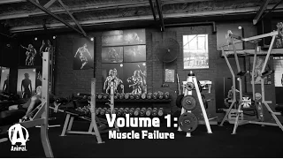 The Basics With Evan Centopani, Volume 1: Muscle Failure