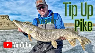 Best Tip Up Pike Fishing | Fort Peck, Montana