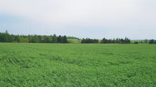 ПОЕЗДКА В ПЕНЗУ. УТЯ ТРЕБУЕТ ЧЕРВЯКОВ