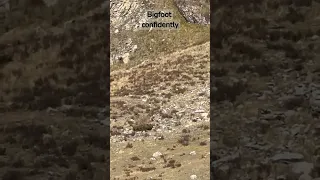 Incredible Bigfoot Sighting 👀 on Colorado Train Ride - Caught on Camera! 📷
