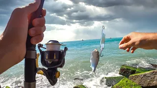 what happens when the jetties are surrounded by bait?? (MONSTER CAUGHT)