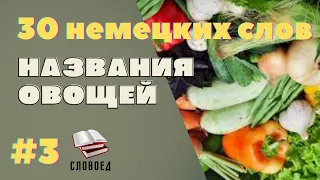 Овощи на немецком языке. Немецкий для начинающих.