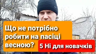 Що Не потрібно робити на пасіці Весною ? 5 Ні для новачків