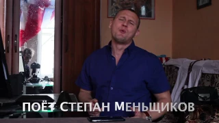 Поет Степан Меньщиков