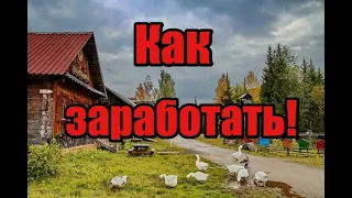 Как заработать в деревне! С чего начать чтобы сразу был доход! Как понять чего хотят люди! Куры и ??