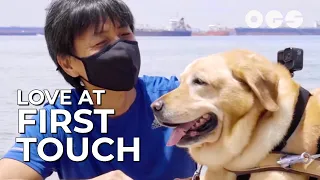 How A Dog Rebuilt A Blind Man's Life