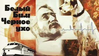 Белый Бим Чёрное ухо 2 серия (1976)