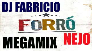 MEGAMIX - FORRÓNEJO - REMIX - DJ FABRICIO - URUGUAIANA-RS