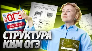 Структура КИМ по биологии ОГЭ | Шкала баллов, разделы и темы