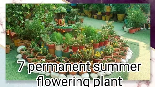 मई जून की गरमी में जबरदस्त फूल देने वाले 7 परमानेंट पौधे /7 permanent summer flowering plant