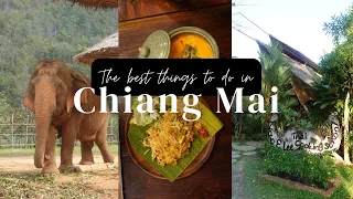 The Best Things to Do in Chiang Mai: Our Epic Northern Thailand Adventure