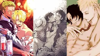 Tik Tok One Piece Đam Mỹ #otp #bachhop #onepiece |~P7|🍖𝕥𝕙𝕪𝕟🐯